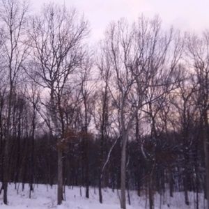 Meet your Posher, Hailey